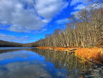 picture taken during a hike