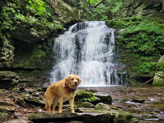 picture taken during a hike