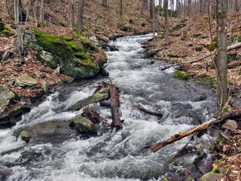 picture taken during a hike