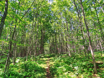 picture taken during a hike