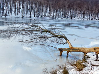 picture taken during a hike