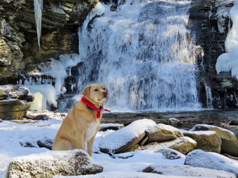 picture taken during a hike