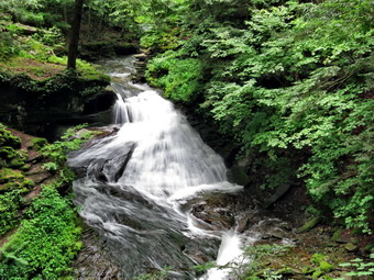 picture taken during a hike