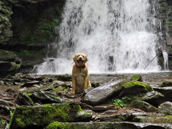 picture taken during a hike