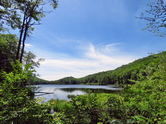 picture taken during a hike