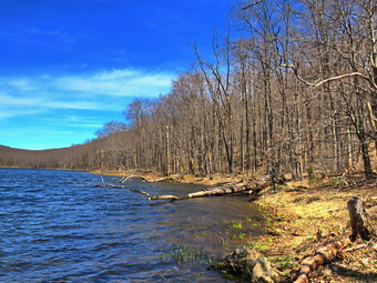 picture taken during a hike