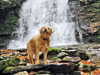 picture taken during a hike