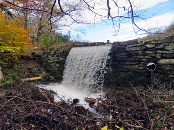 picture taken during a hike