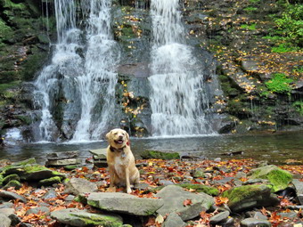 picture taken during a hike