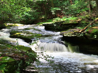 picture taken during a hike