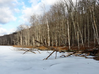 picture taken during a hike