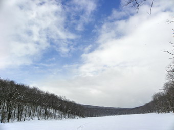 picture taken during a hike