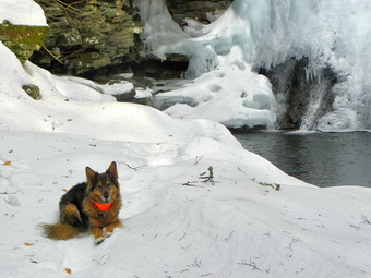 picture taken during a hike