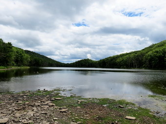 picture taken during a hike