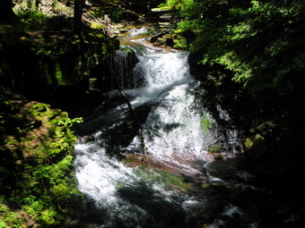 picture taken during a hike