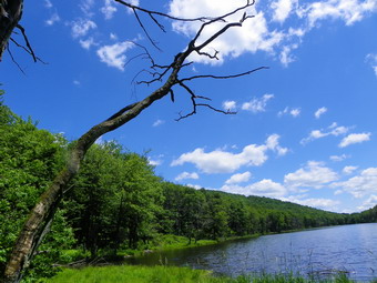 picture taken during a hike