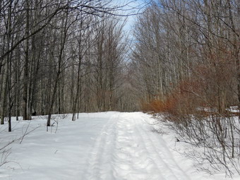 picture taken during a hike