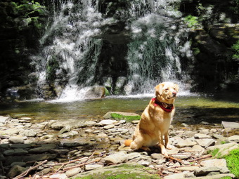 picture taken during a hike