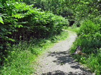 picture taken during a hike