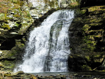 picture taken during a hike