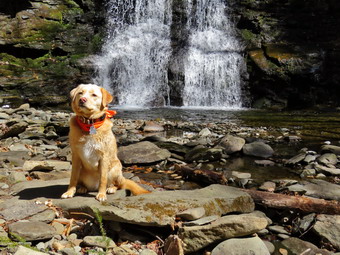 picture taken during a hike