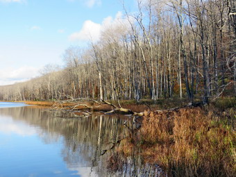 picture taken during a hike