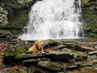 picture taken during a hike