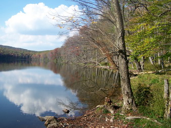 picture taken during a hike