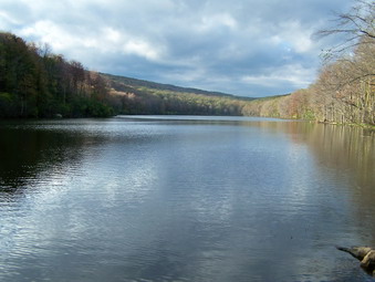 picture taken during a hike