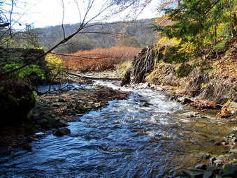 picture taken during a hike