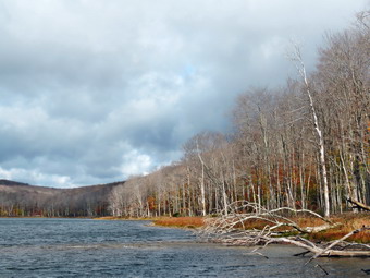 picture taken during a hike