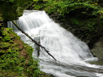 picture taken during a hike