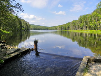 picture taken during a hike