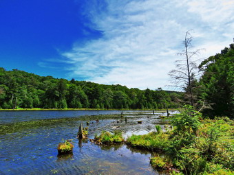 picture taken during a hike