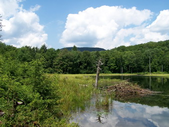 picture taken during a hike