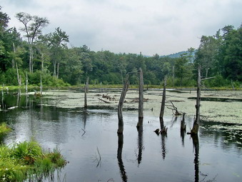 picture taken during a hike