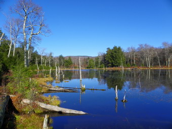 picture taken during a hike