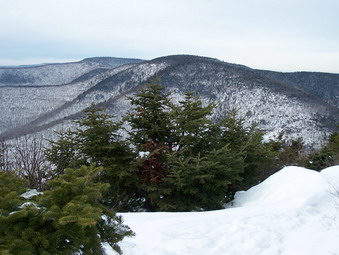 picture taken during a hike