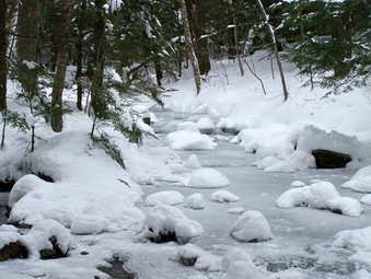 picture taken during a hike