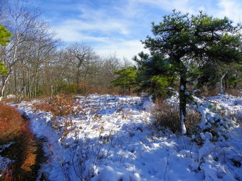 picture taken during a hike