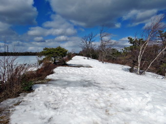 picture taken during a hike