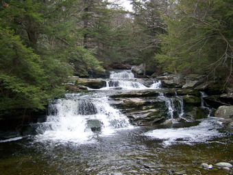 picture taken during a hike