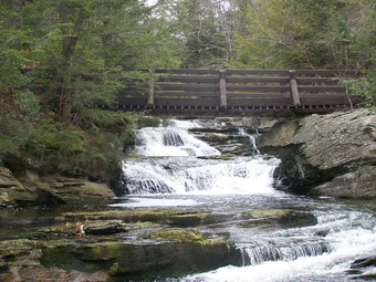 picture taken during a hike