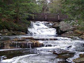 picture taken during a hike