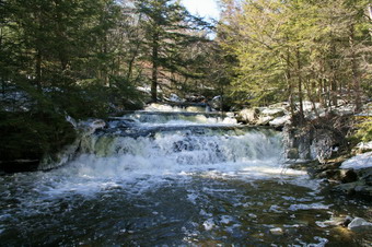 picture taken during a hike