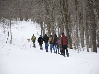 picture taken during a hike