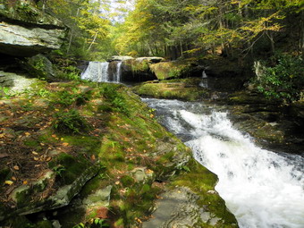 picture taken during a hike