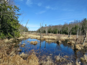 picture taken during a hike