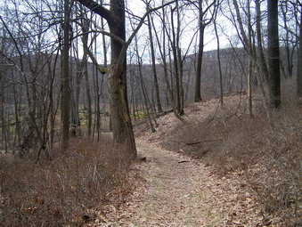 picture taken during a hike