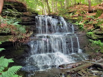 picture taken during a hike